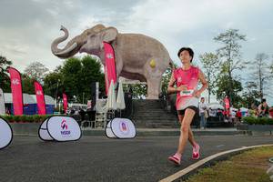 BIB: 
                            <button type="button" onclick="openModal(26528539)" class="btn btn-primary btn-sm float-right btn-popup" data-toggle="modal" data-target=".modal-high-quality">
                        <i class="fas fa-shopping-cart"></i> Add to Cart
                    </button>
                                            <button type="button" onclick="isThisMe(26528539, true)" class="btn btn-success btn-sm float-right btn-popup btn-isme hidden" data-toggle="tooltip" data-placement="bottom" title="นี่คือรูปของคุณใช่ไหม คลิกที่นี่เพื่อเอาเข้าอัลบั้ม">
                        <i class="fas fa-plus"></i> Add to album
                    </button>
                    <button type="button" onclick="isThisMe(26528539, false)" class="btn btn-warning btn-sm float-right btn-popup btn-isnotme hidden">
                        <i class="fas fa-ban"></i> Remove from album
                    </button>